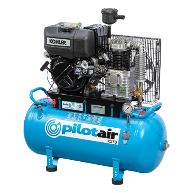 download 2 Reciprocating Piston Compressors 13